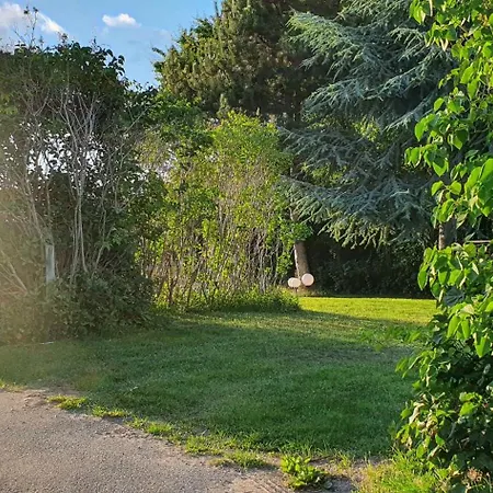 Cozy Summer House In