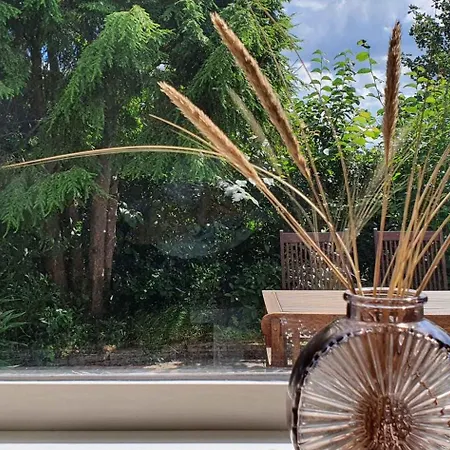 Cozy Summer House In