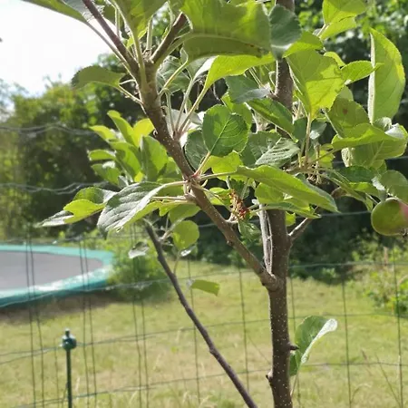 Cozy Summer House In 別荘 *