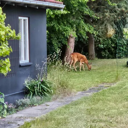Cozy Summer House In Nykøbing Sjælland